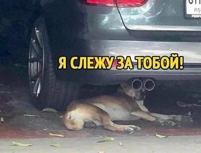 Служба безопасности, когда ты сказал, что из Red Team | Сетка — социальная сеть от hh.ru