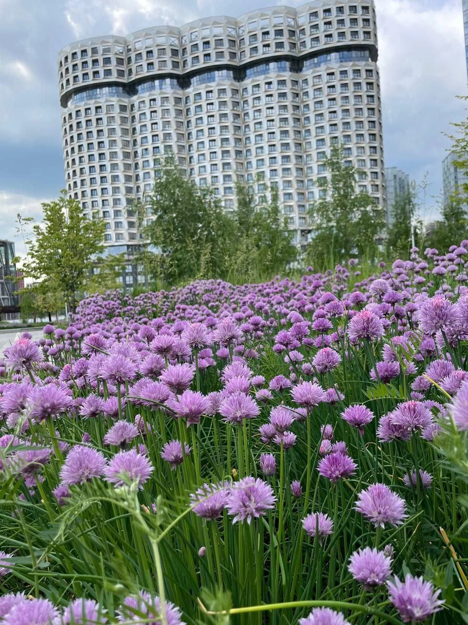 Парк «Тюфелева роща»🌳
На месте бывшего завода ЗИЛ появился современный парк с перголой длиной 1,3 километра | Сетка — новая социальная сеть от hh.ru