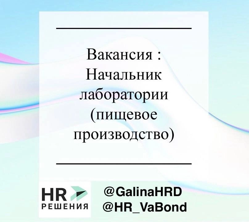 📌Рубрика актуальные вакансии | Сетка — новая социальная сеть от hh.ru