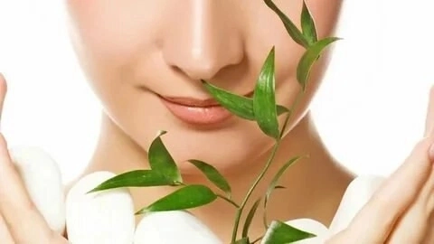 МИКРОЗЕЛЕНЬ ДЛЯ КРАСОТЫ И УХОДА ЗА КОЖЕЙ
🌿🌿🌿🌿🌿🌿🌿🌿🌿🌿🌿🌿🌿🌿
🔺МИКРОЗЕЛЕНЬ - небольшие ростки различных растений, которые собирают еще на самой ранней стадии их развития | Сетка — социальная сеть от hh.ru