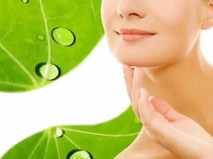МИКРОЗЕЛЕНЬ ДЛЯ КРАСОТЫ И УХОДА ЗА КОЖЕЙ
🌿🌿🌿🌿🌿🌿🌿🌿🌿🌿🌿🌿🌿🌿
🔺МИКРОЗЕЛЕНЬ - небольшие ростки различных растений, которые собирают еще на самой ранней стадии их развития | Сетка — социальная сеть от hh.ru