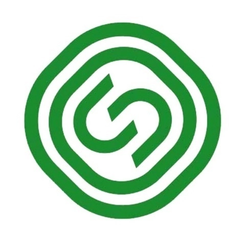 Segezha Group