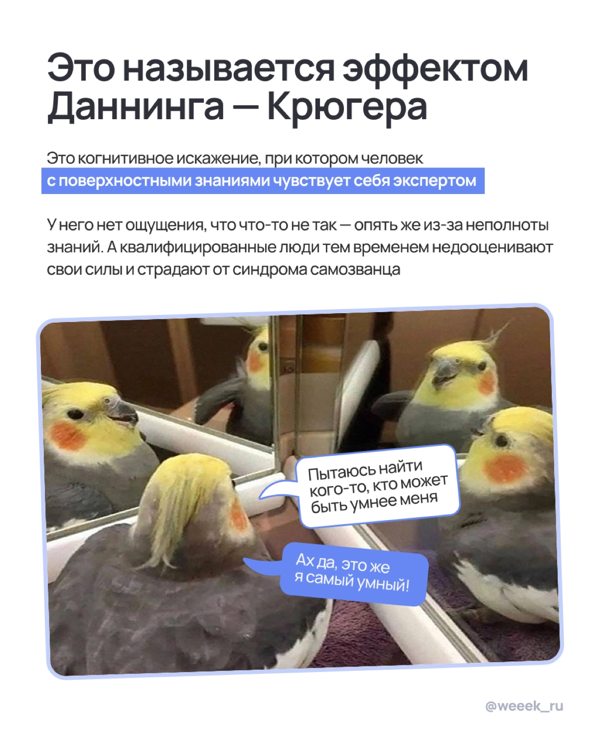 Побочка после праздников … или нет? | Сетка — новая социальная сеть от hh.ru