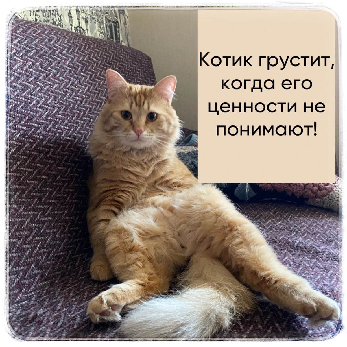 Ценности корпоративной культуры | Сетка — новая социальная сеть от hh.ru