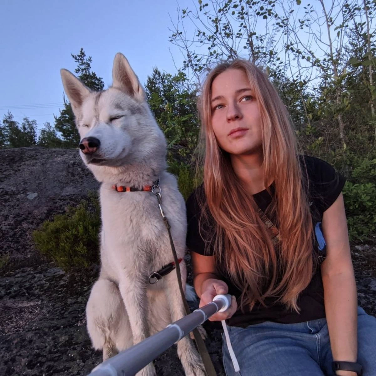 profile avatar