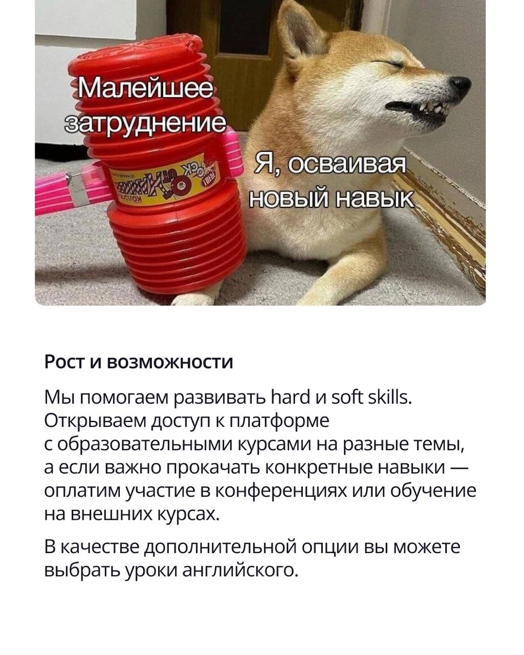 🟣 Работа в хорошей компании — это не только про зарплату и интересные задачи
Это про среду, в которой хочется расти, делиться идеями и не считать минуты до конца дня | Сетка — новая социальная сеть от hh.ru