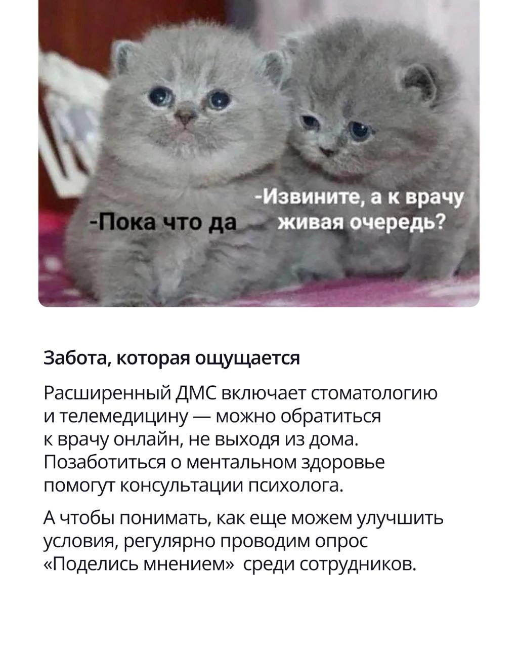 🟣 Работа в хорошей компании — это не только про зарплату и интересные задачи
Это про среду, в которой хочется расти, делиться идеями и не считать минуты до конца дня | Сетка — новая социальная сеть от hh.ru