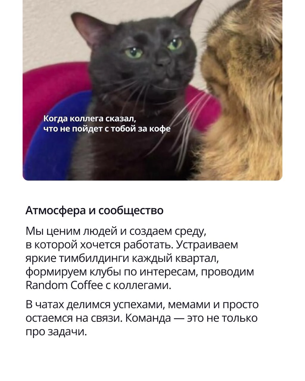 🟣 Работа в хорошей компании — это не только про зарплату и интересные задачи
Это про среду, в которой хочется расти, делиться идеями и не считать минуты до конца дня | Сетка — новая социальная сеть от hh.ru