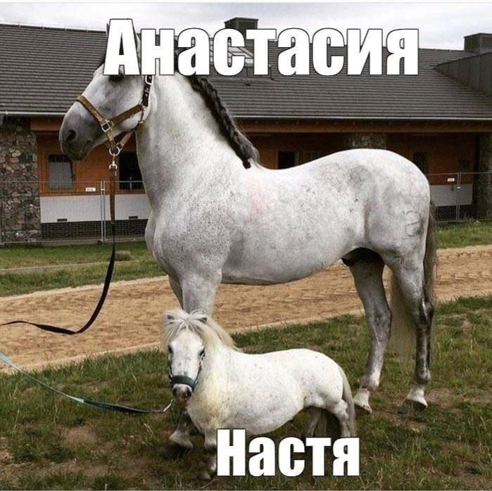 ВесУ меня, за последние пару лет многое поменялось. Я основала и руковожу креативным агентством, почти полностью сменила круг общения и... прибавила в весе. Причём дофига так, для моего роста | Сетка — новая социальная сеть от hh.ru