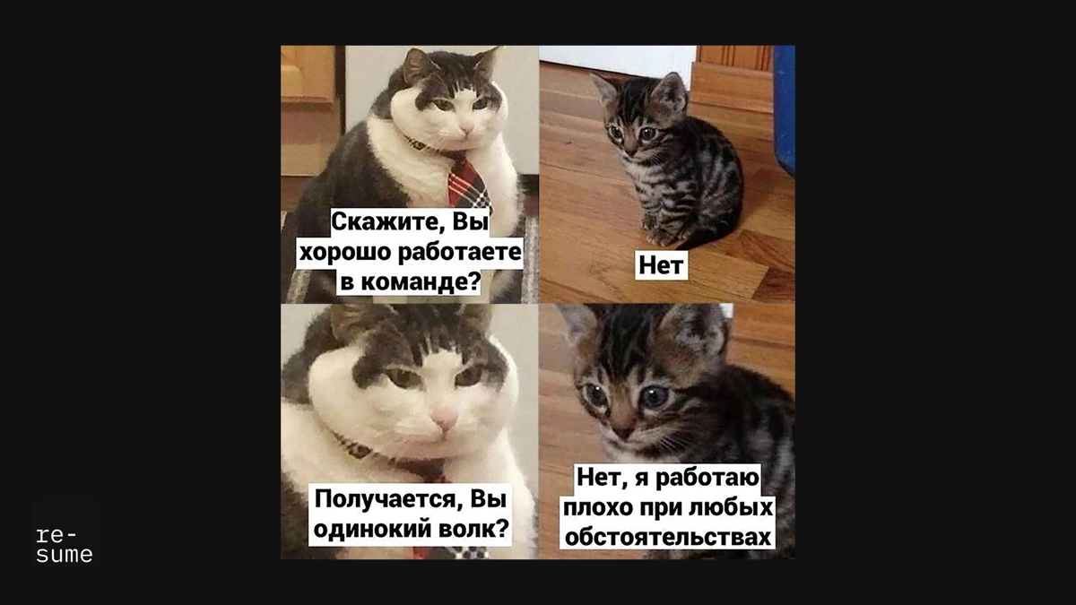 Обновляй резюме | Сетка — новая социальная сеть от hh.ru