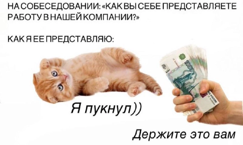 Нагял зумера | Сетка — новая социальная сеть от hh.ru