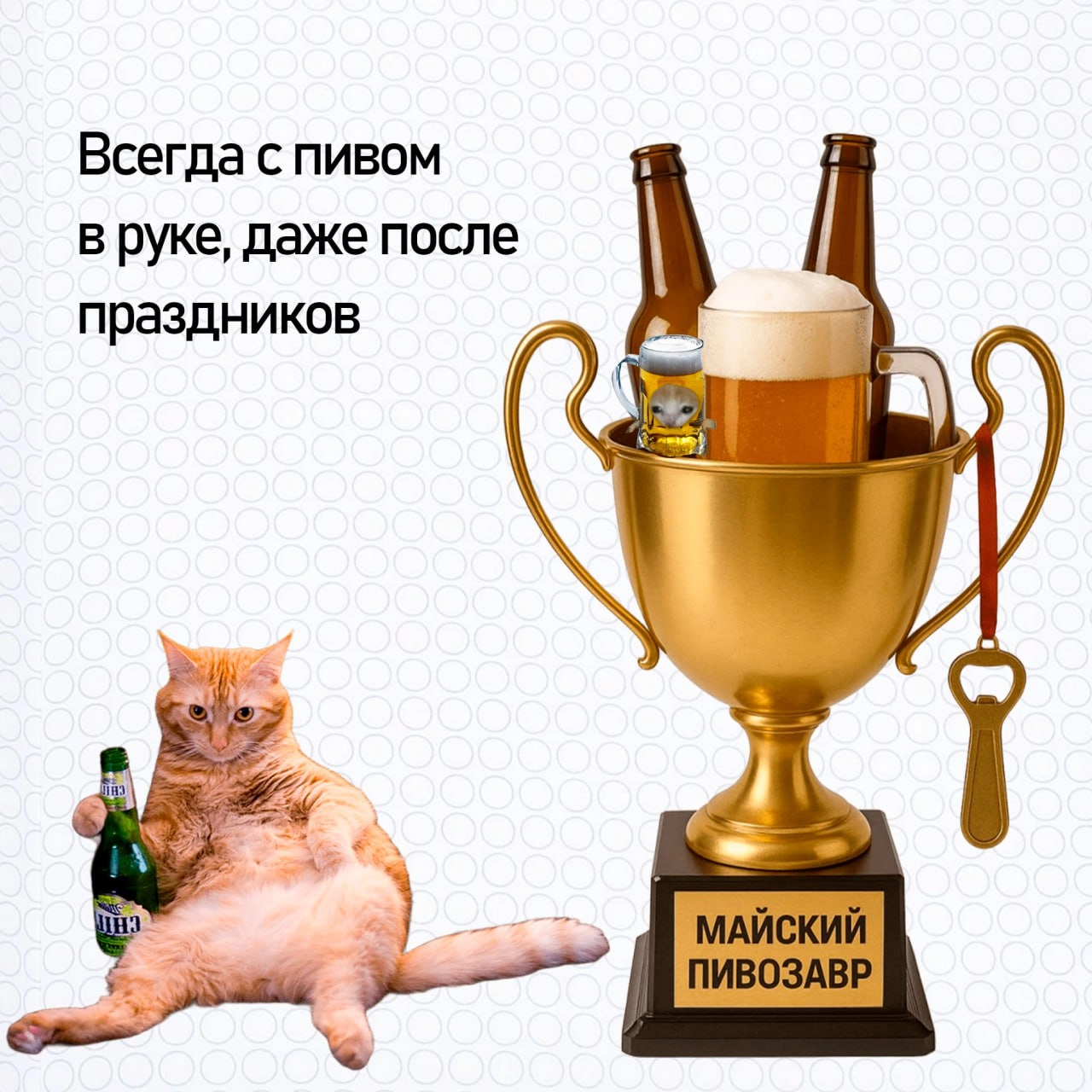 Подводим итоги майских — вручаем кубки самым продуктивным котикам | Сетка — новая социальная сеть от hh.ru