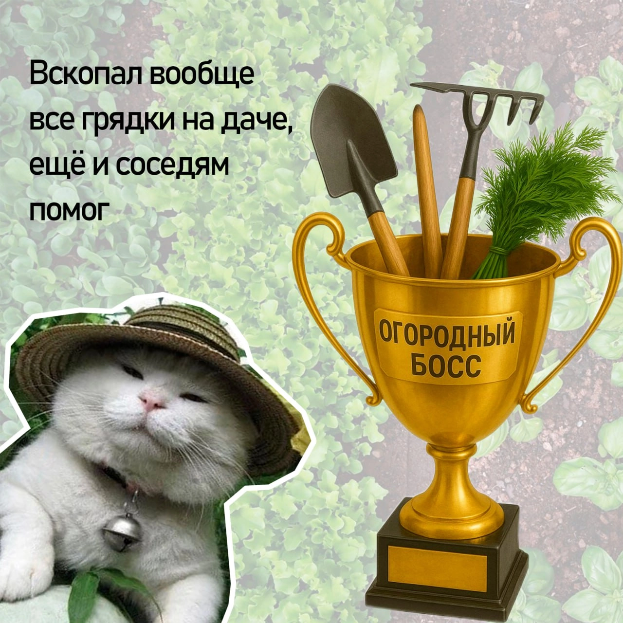 Подводим итоги майских — вручаем кубки самым продуктивным котикам | Сетка — новая социальная сеть от hh.ru