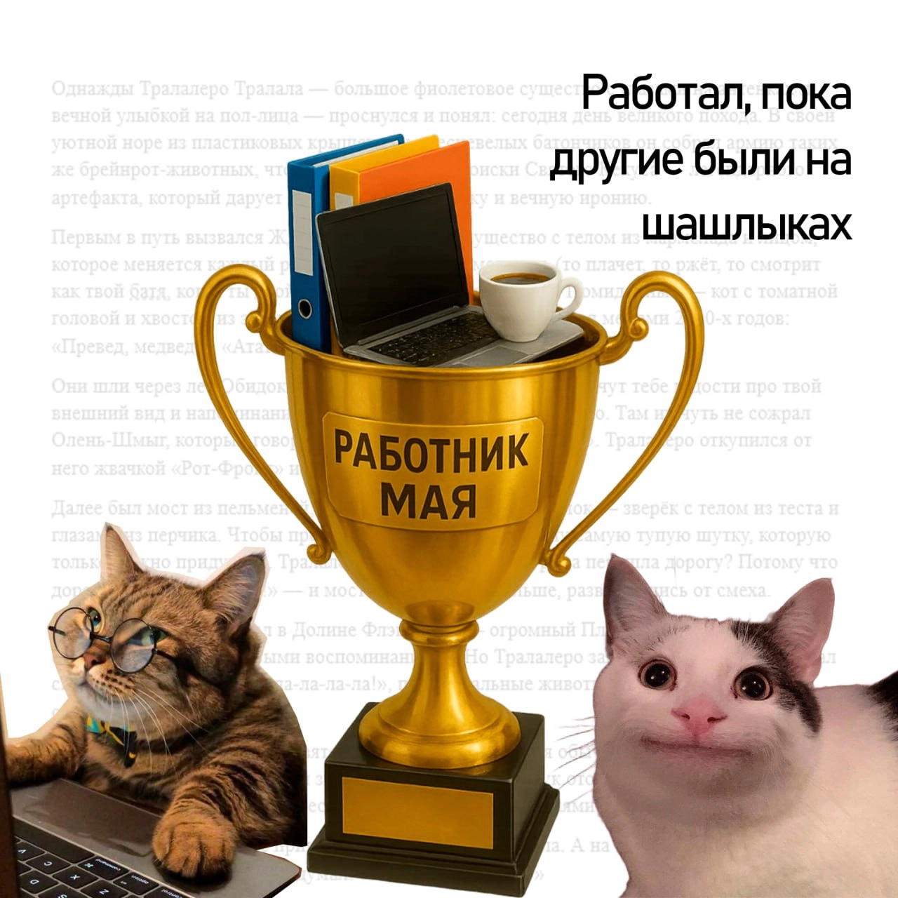 Подводим итоги майских — вручаем кубки самым продуктивным котикам | Сетка — новая социальная сеть от hh.ru