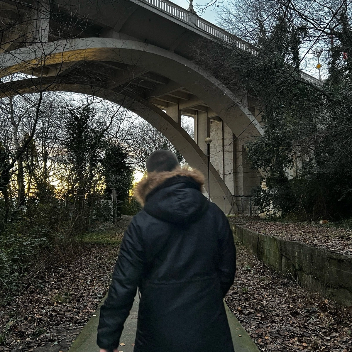 Борис Дмитриев