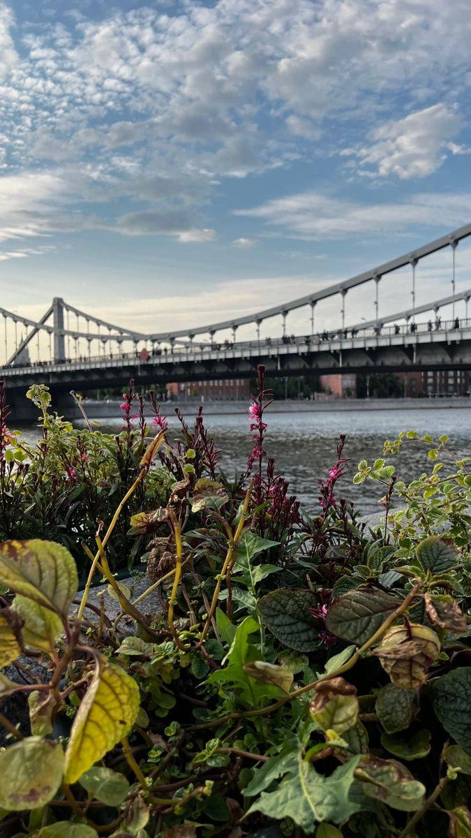🌉Красивые мосты в Москве для вечерней прогулки
Московские прогулки приносят радость многим горожанам и гостям столицы | Сетка — новая социальная сеть от hh.ru