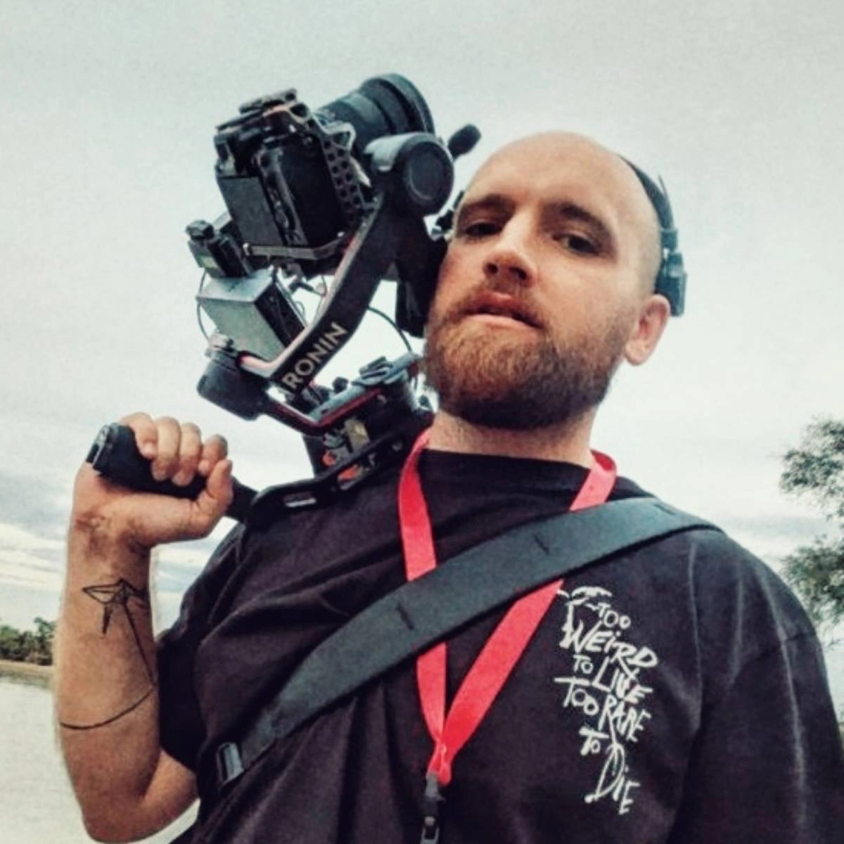 profile avatar