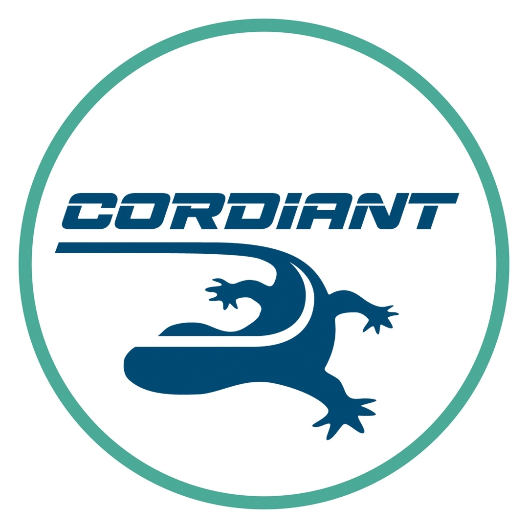 company logo