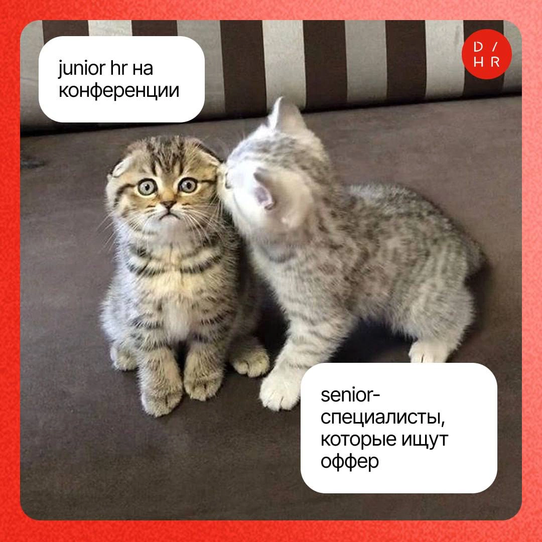 Сила нетворкинга: зачем ходить на конференции. | Сетка — новая социальная сеть от hh.ru