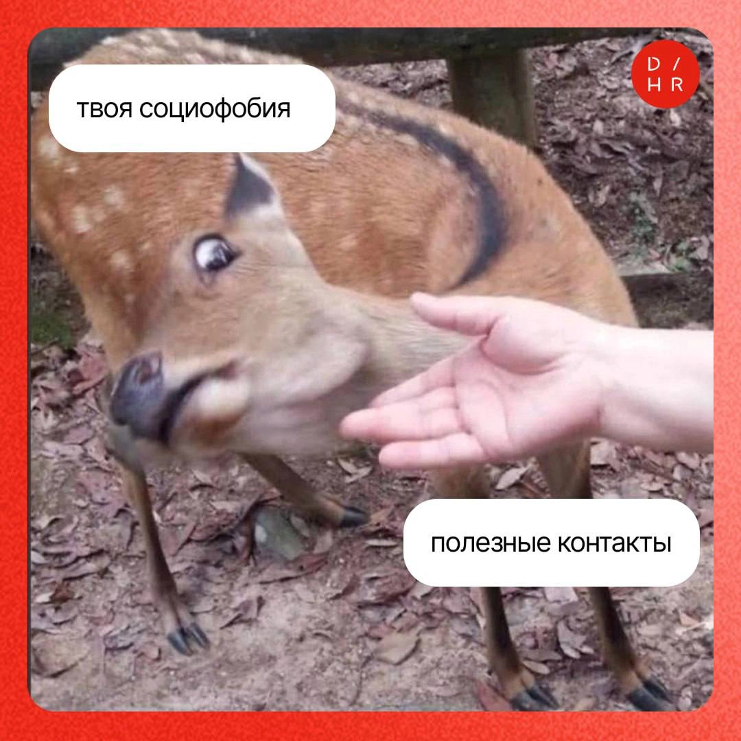 Сила нетворкинга: зачем ходить на конференции. | Сетка — новая социальная сеть от hh.ru