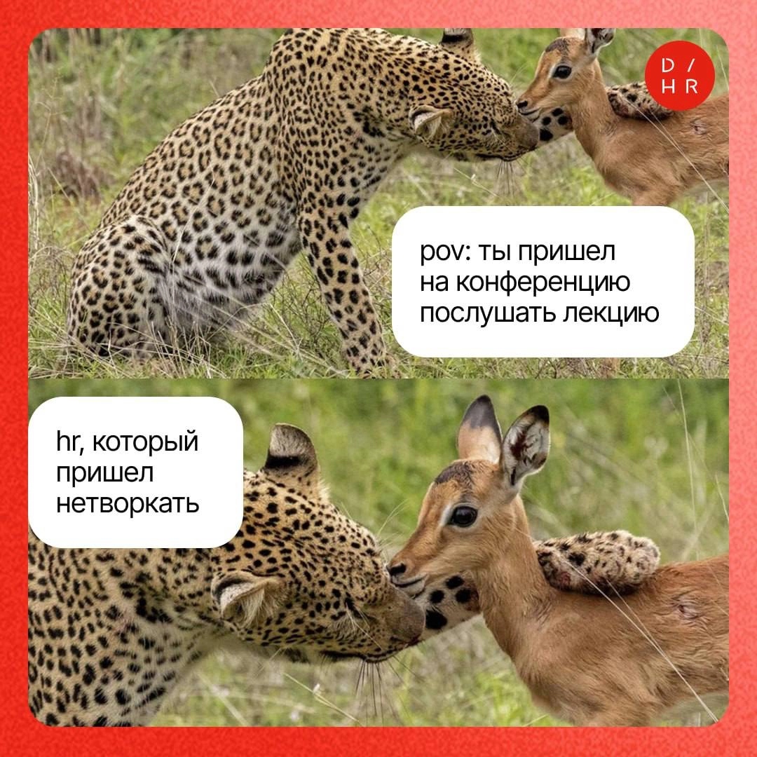 Сила нетворкинга: зачем ходить на конференции. | Сетка — новая социальная сеть от hh.ru