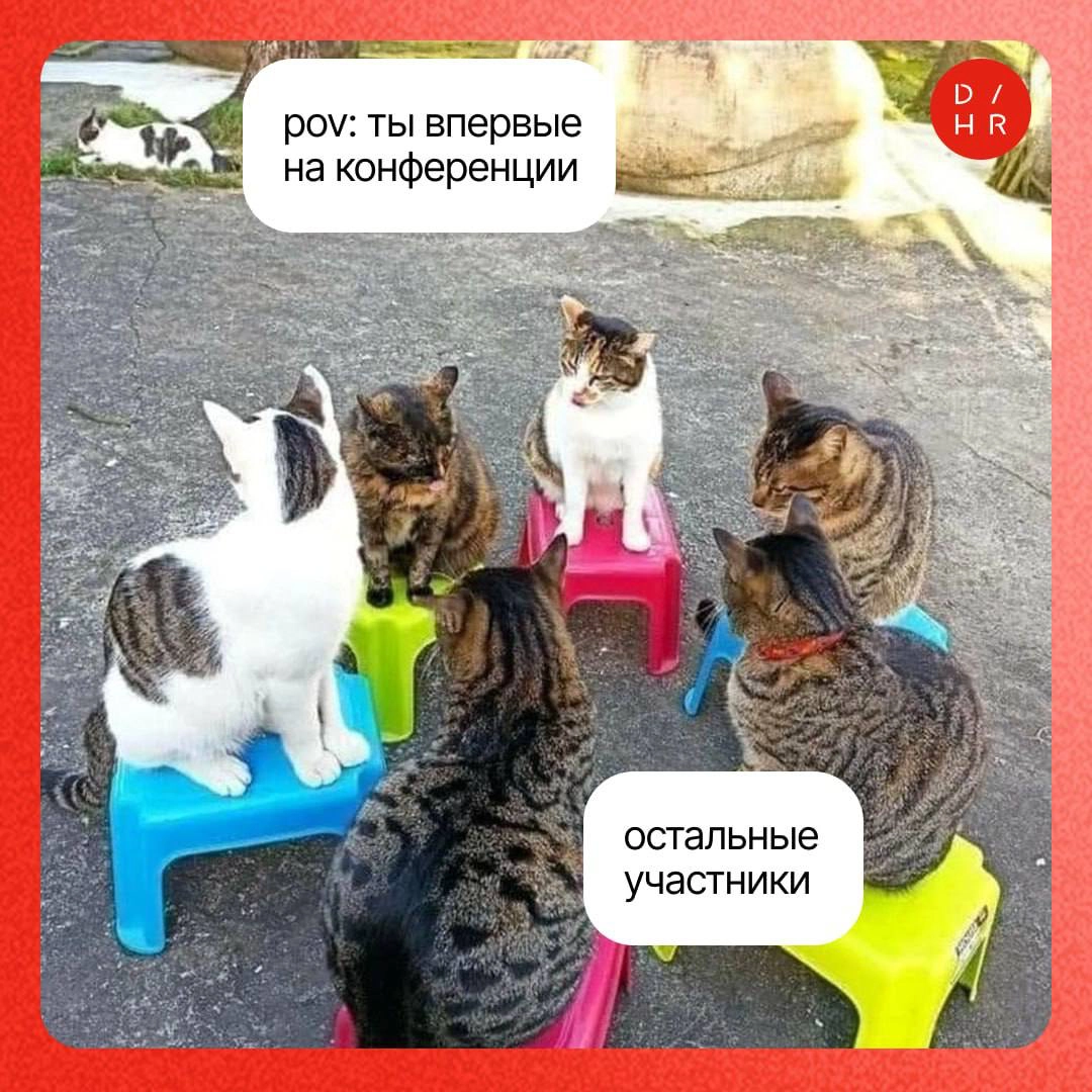Сила нетворкинга: зачем ходить на конференции. | Сетка — новая социальная сеть от hh.ru