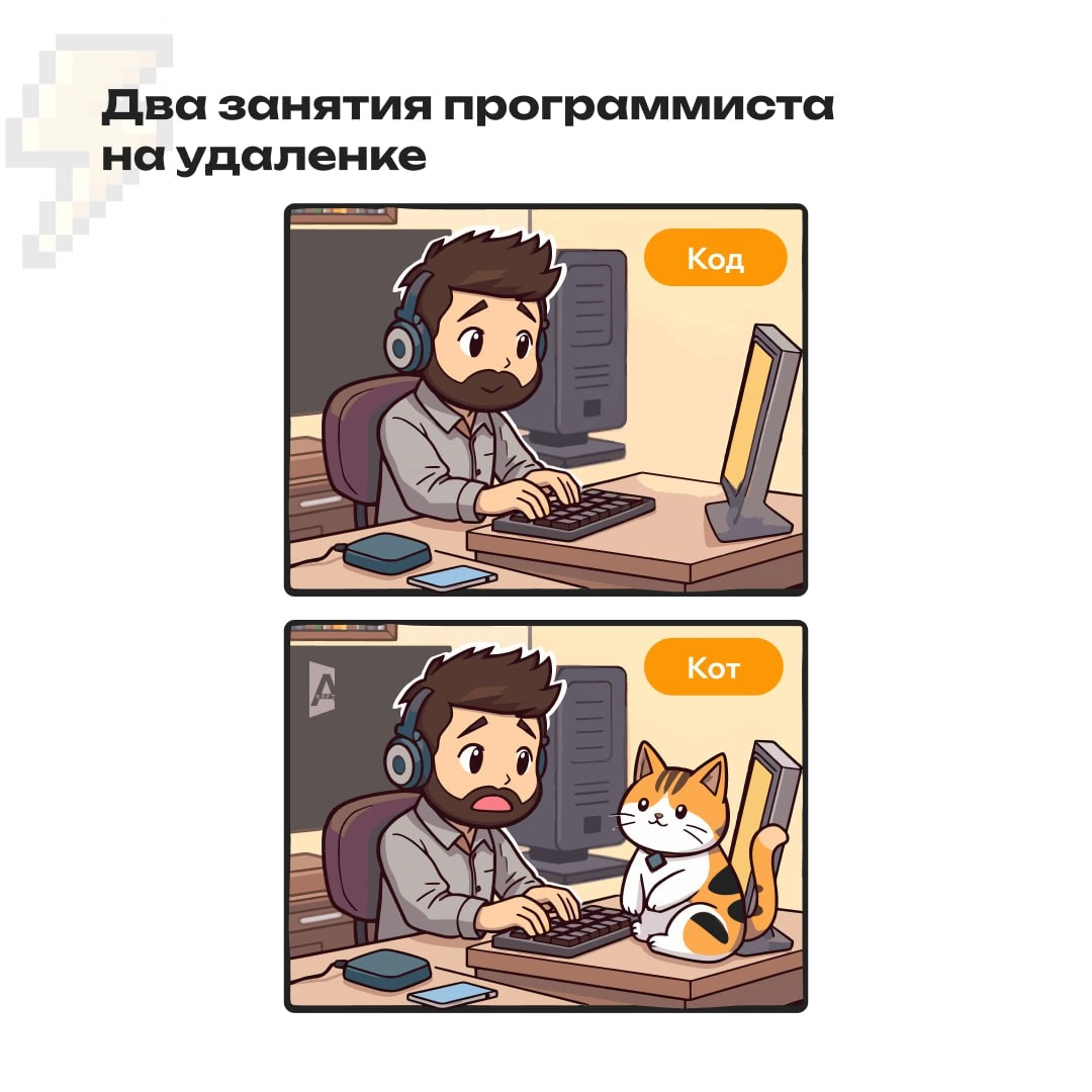 Кот или код? 🐈 | Сетка — новая социальная сеть от hh.ru