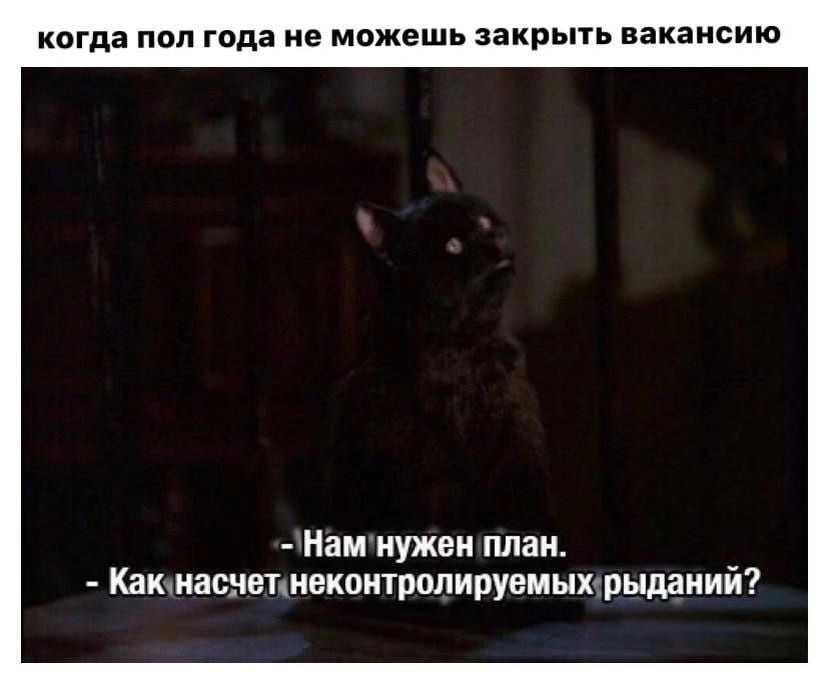 Когда полгода не можешь закрыть вакансию… | Сетка — новая социальная сеть от hh.ru