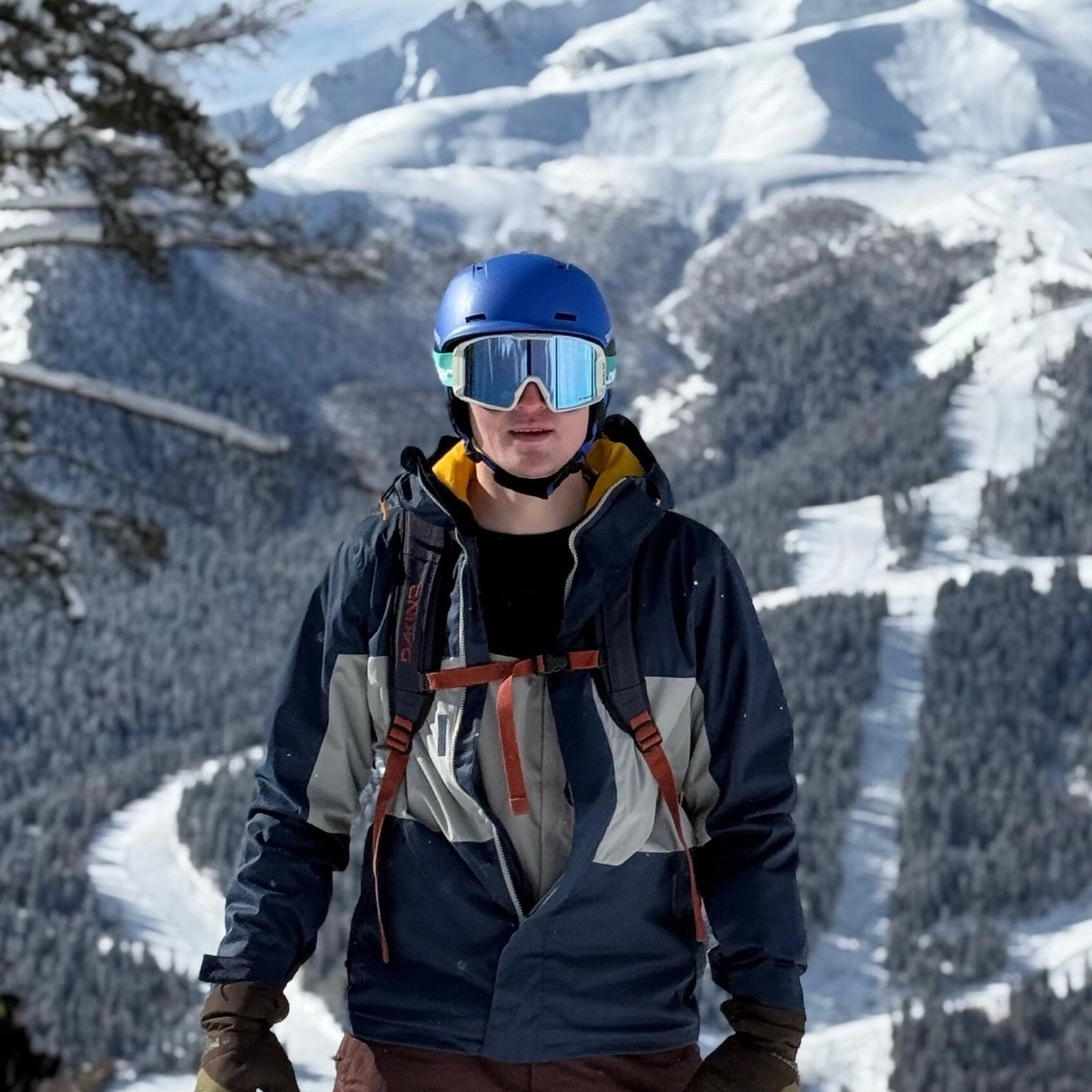 profile avatar