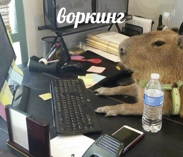 HR в 2025: 5 трендов, которые меняют правила игры | Сетка — новая социальная сеть от hh.ru