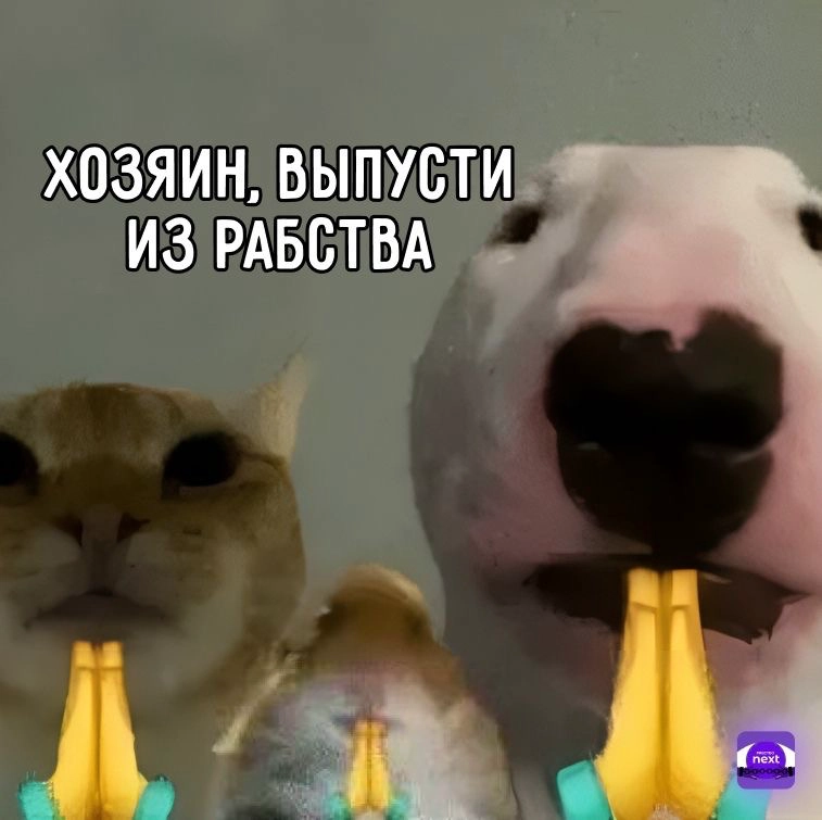 🧠 eNPS: зачем он нужен и как его считать (очень просто) | Сетка — новая социальная сеть от hh.ru