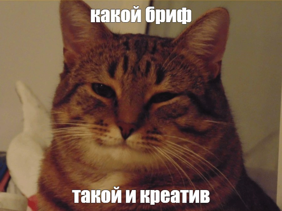 Бриф, который раскрывает клиента | Сетка — новая социальная сеть от hh.ru