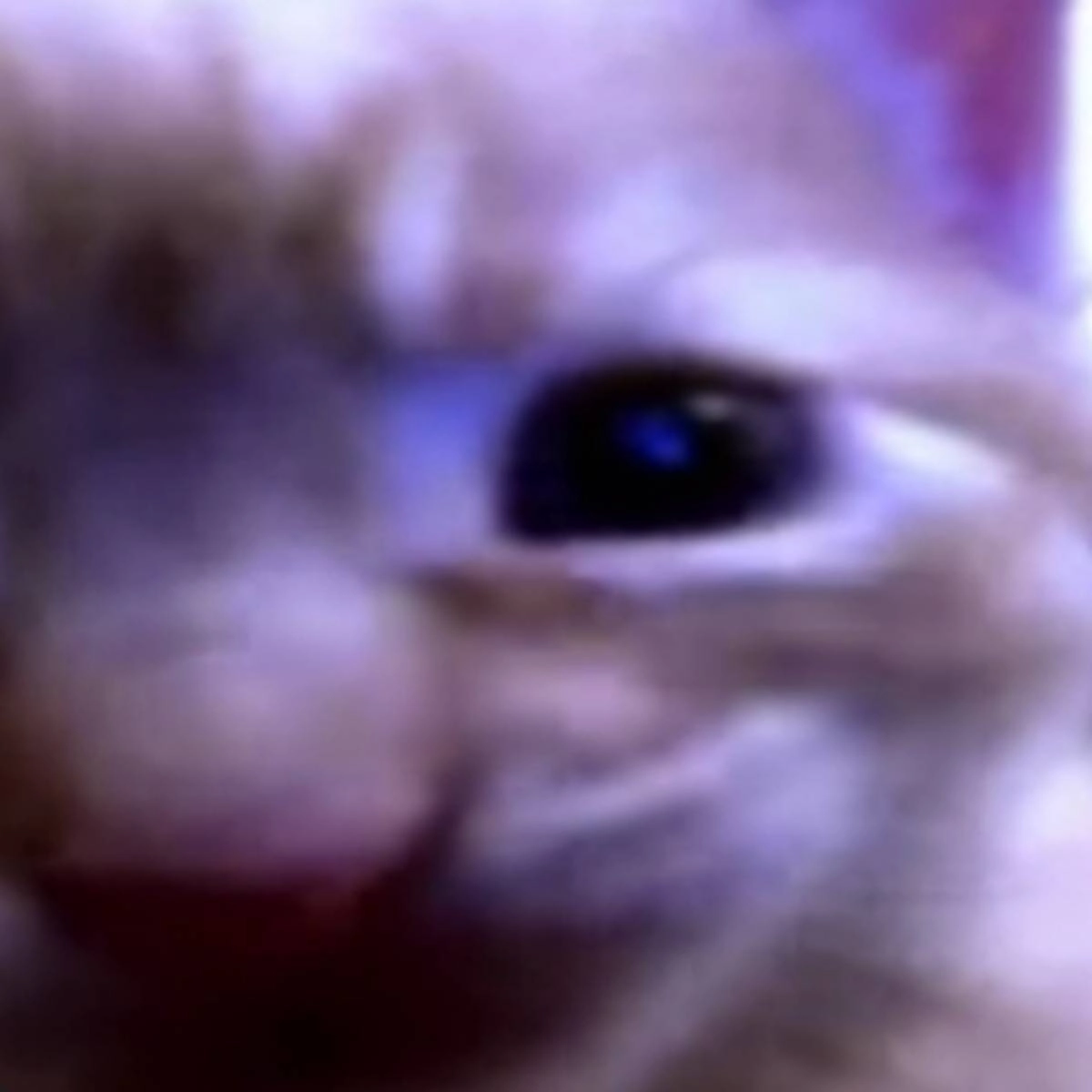 Subscriber avatar