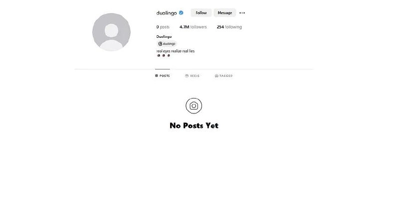 Легкий вайб Balenciaga — Duolingo удалила все свои посты и видео в Нельзяграме и TikTok | Сетка — новая социальная сеть от hh.ru