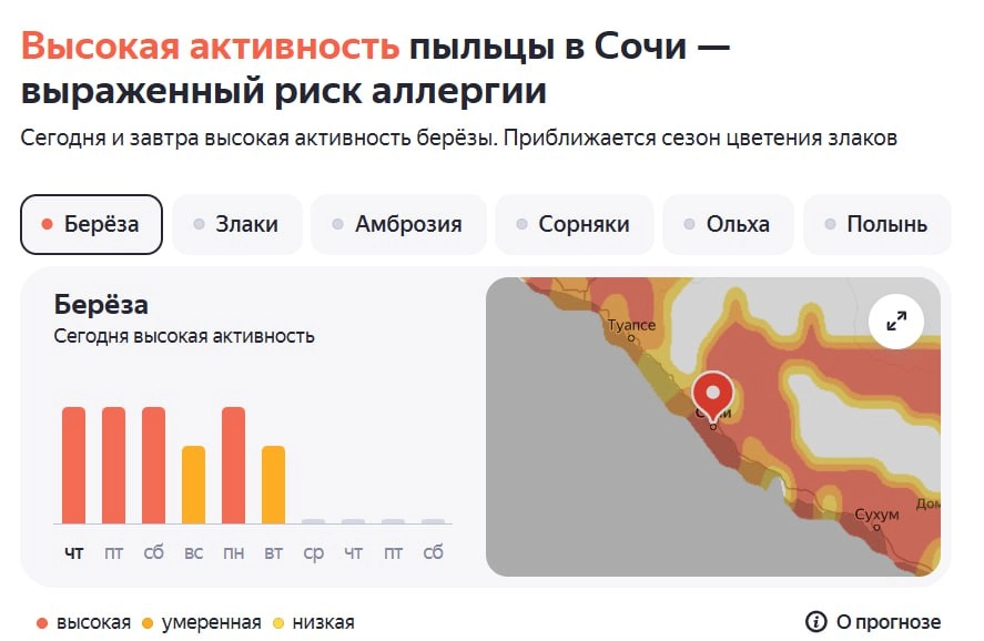 Аллергия? Не в Сочи! 🌿
Я сильно страдаю от аллергии на пыльцу берёзы. Сейчас в Яндексе отображается 🌡 максимальная активность пыльцы, но я не чувствую никаких симптомов | Сетка — новая социальная сеть от hh.ru