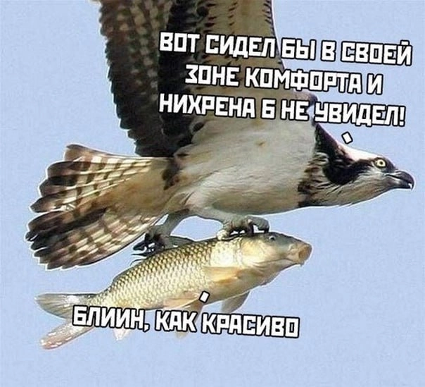 Выход из зоны комфорта — азарт или стресс?
Мы с коллегами недавно разгоняли про выход из зоны комфорта | Сетка — новая социальная сеть от hh.ru