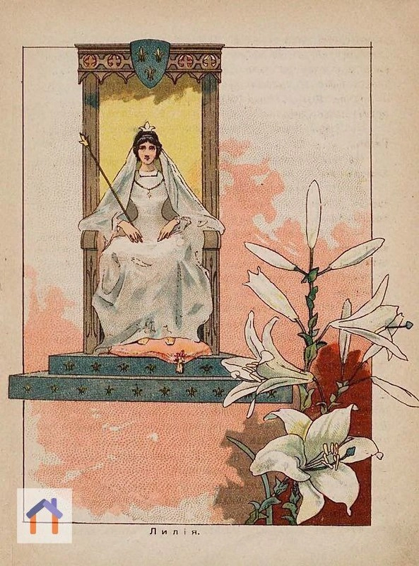 "В царстве цветов" – потрясающе красивая книга издательства И. Д. Сытина, 1901 г. | Сетка — новая социальная сеть от hh.ru