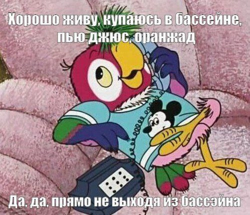 Когда спросили как живётся в ИТ | Сетка — социальная сеть от hh.ru