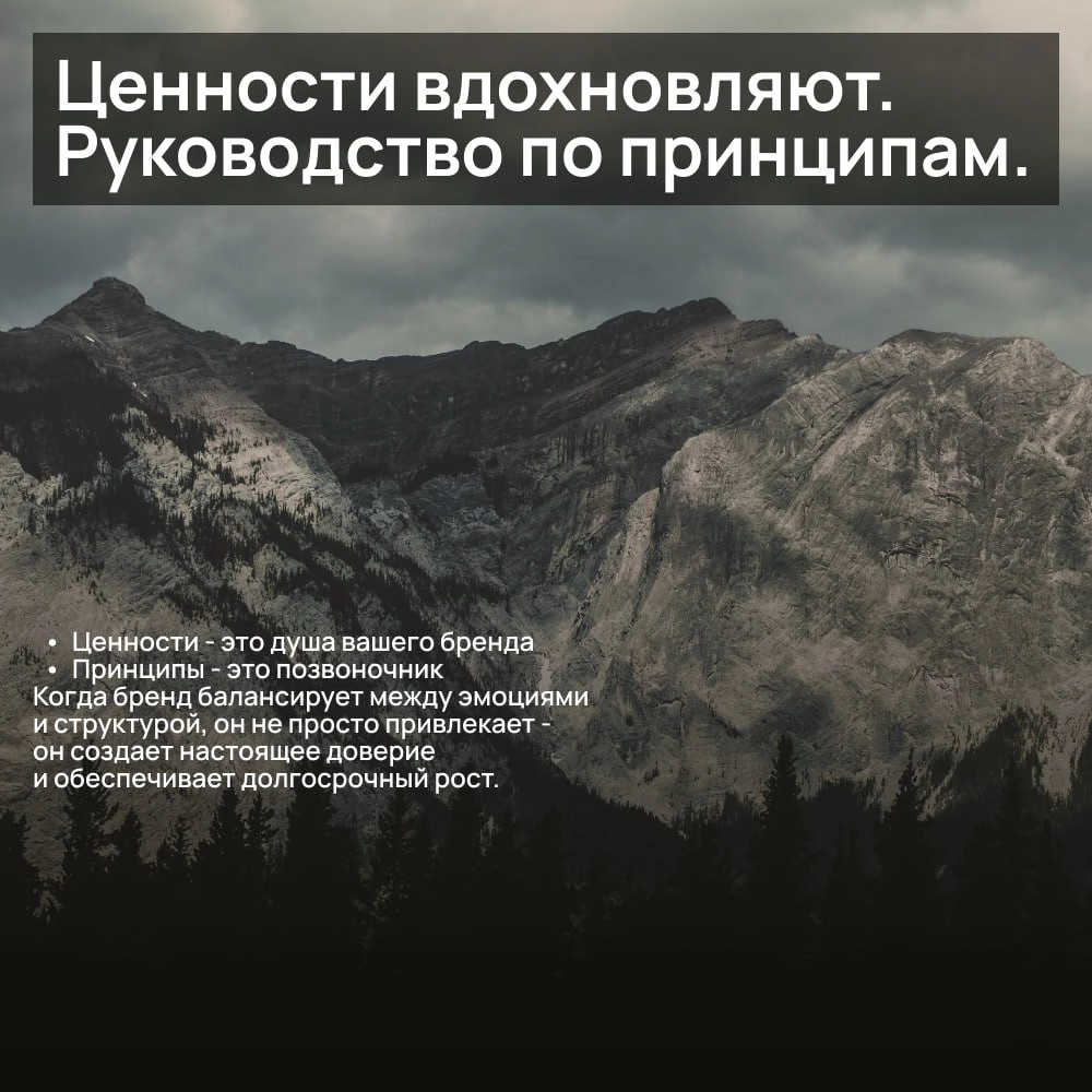 В чем разница между ценностями и принципами? | Сетка — новая социальная сеть от hh.ru