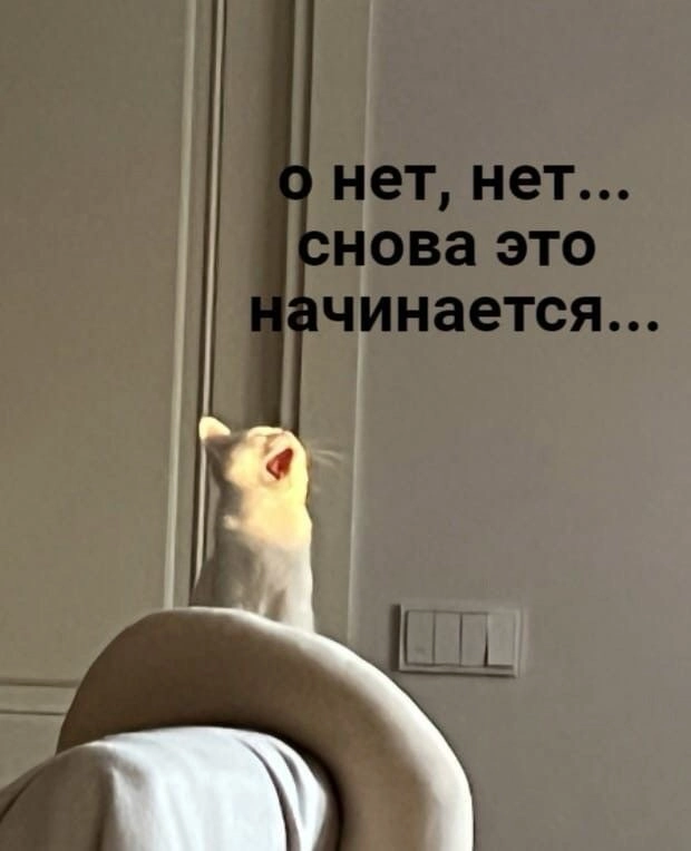 Почему взрослые люди превращаются в школьников на планёрках? | Сетка — новая социальная сеть от hh.ru