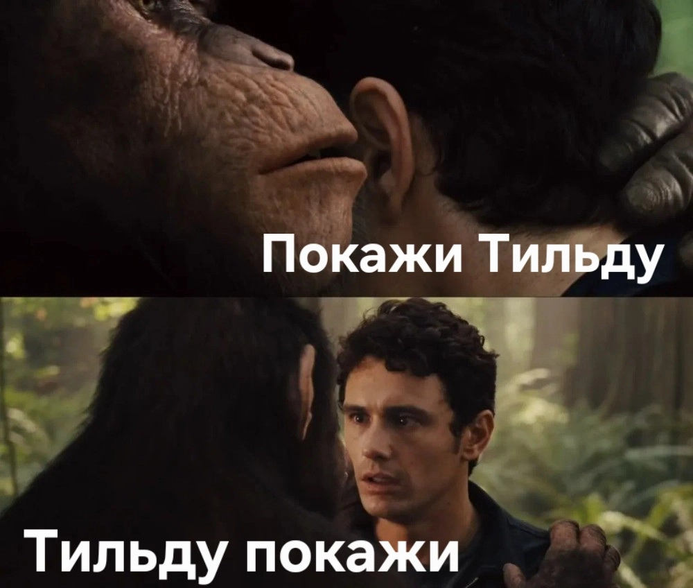 💣 БОМБАНУЛО! 
🤔 А ВЫ БЫ ПОШЛИ НА ЭТО СНОВА? 🤔 | Сетка — новая социальная сеть от hh.ru