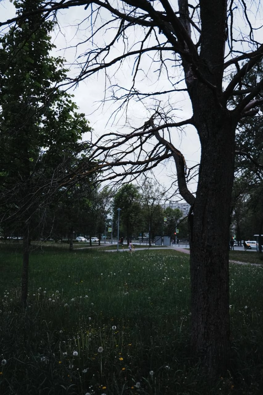 как вы относитесь к тому, что тут буду периодически фотки постить? 
вы же против? 
ну и ладненько. 
сегодня настроил творческий вид и решил потестить картинку. 
из коробки так сказать | Сетка — новая социальная сеть от hh.ru