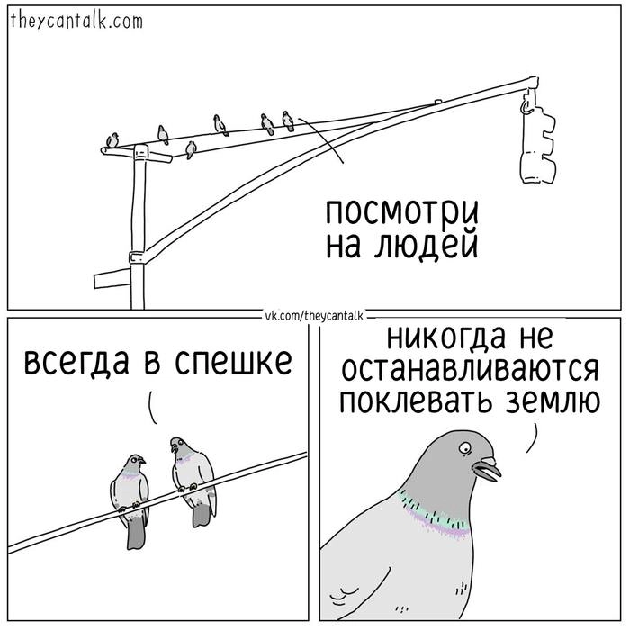 Я считаю это главная проблема нашего рода. | Сетка — новая социальная сеть от hh.ru