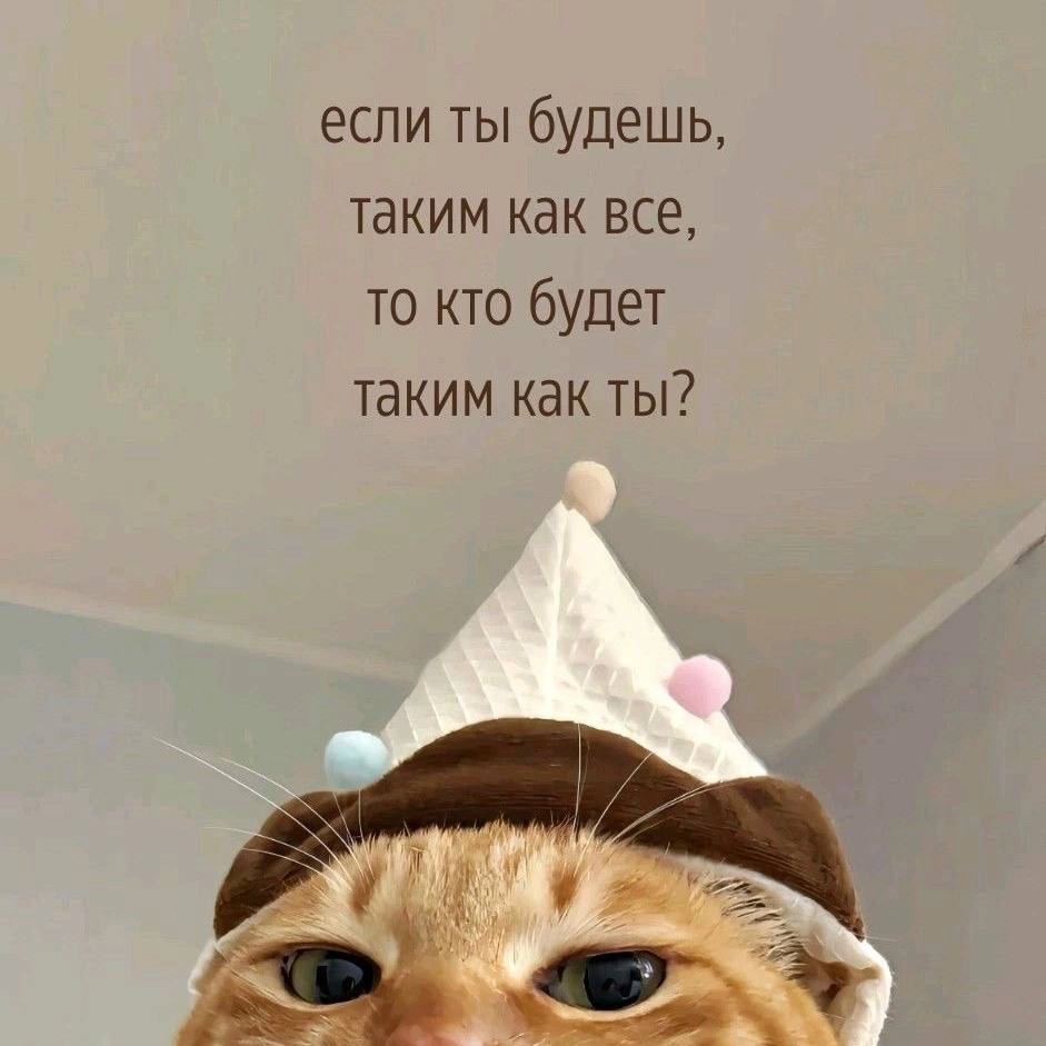 Я не ищу идеальных кандидатов. Я ищу нормальных людей» | Сетка — новая социальная сеть от hh.ru