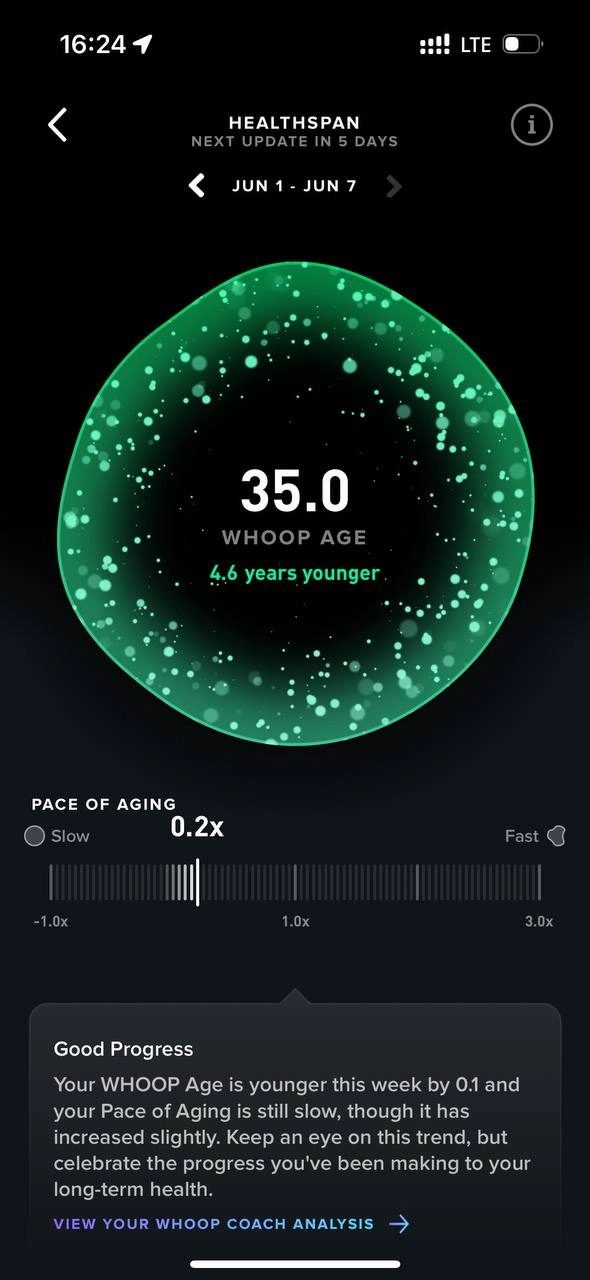 Не успел я толком походить с Whoop 4.0, как вышла 5-я версия, да ещё и в 3 вариантах. Пришлось обновляться | Сетка — новая социальная сеть от hh.ru
