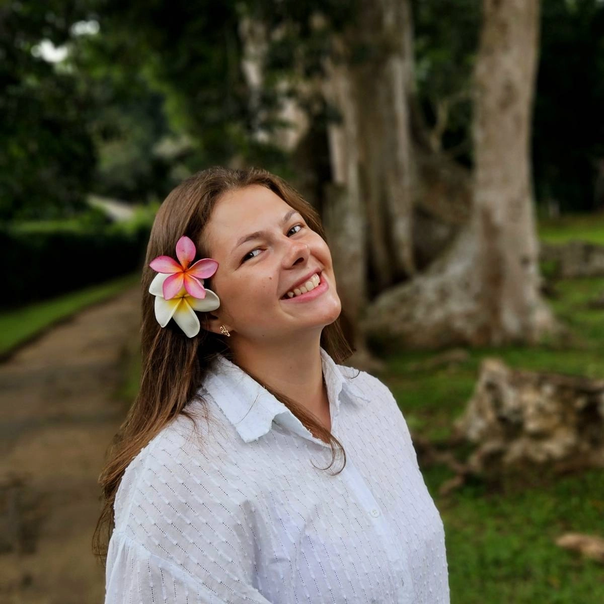 author avatar