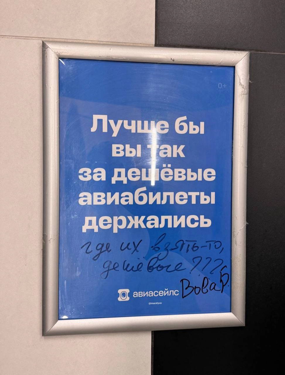 Моя любимая рубрика в туалете аэропорта — искать рекламу Авиасейлс | Сетка — новая социальная сеть от hh.ru