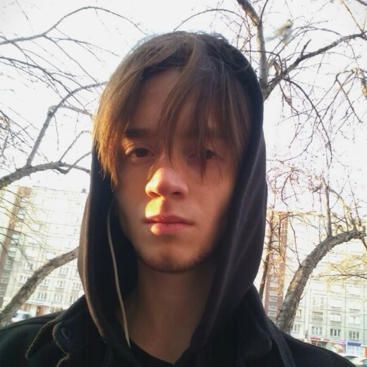 profile avatar