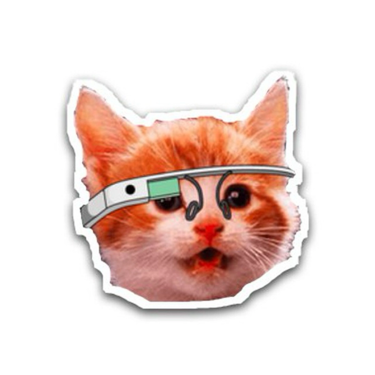 community avatar