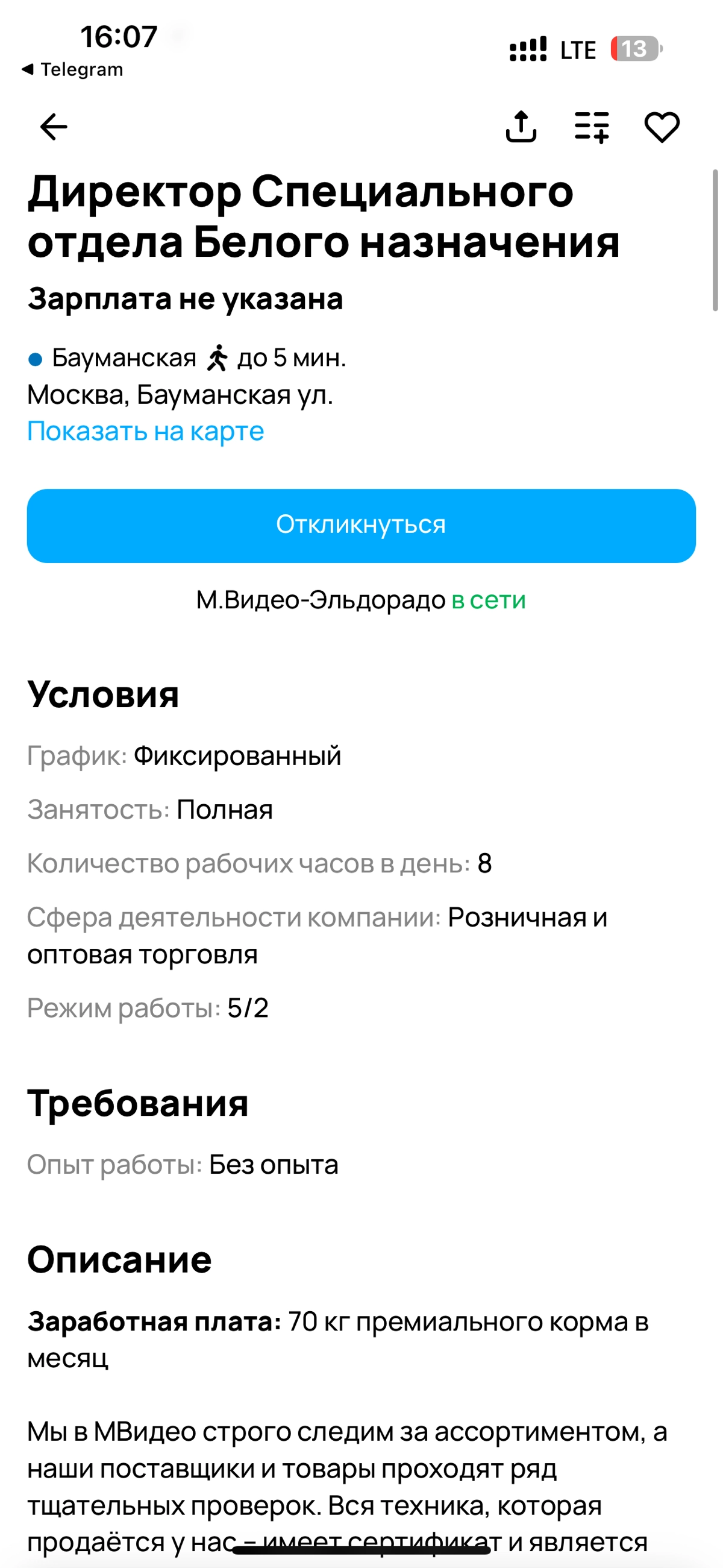 Пушистый директор в М.Видео | Сетка — социальная сеть от hh.ru